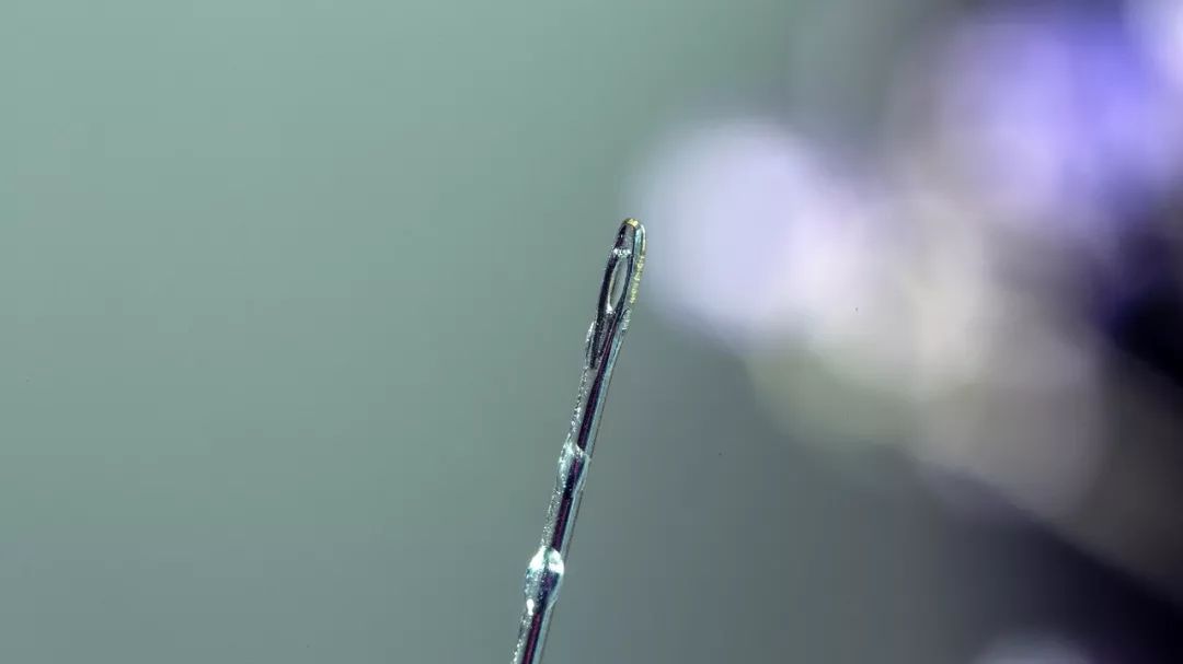 100mm微距一代和二代,90mm更好用的微距