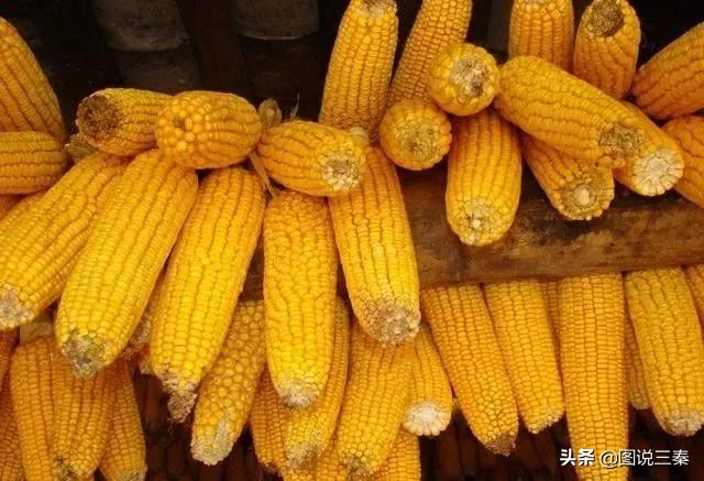 舌尖上的回忆歌曲,舌尖上的记忆