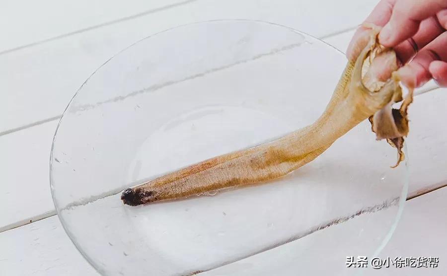 象拔蚌刺身教学,象拔蚌刺身摆盘