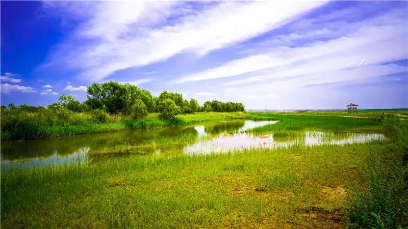 好玩丨清明小长假，宁夏黄沙古渡景区让你玩到停不下来！