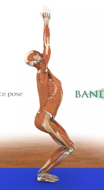 想练瑜伽但又怕疼,想练瑜伽没有毅力怎么办