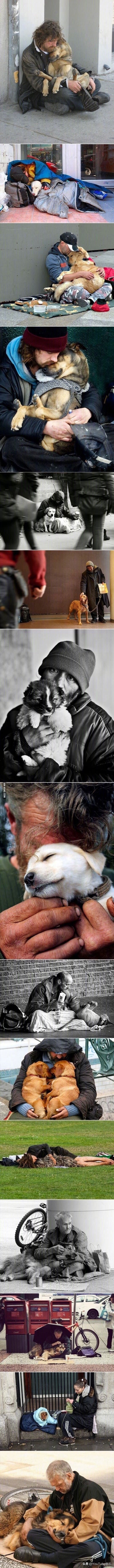 「今日萌图」一旦猫咪能自己打开鱼罐头，人类也就完蛋了