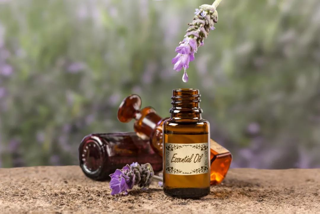 女性们爱用的精油护发,女生爱用的精华