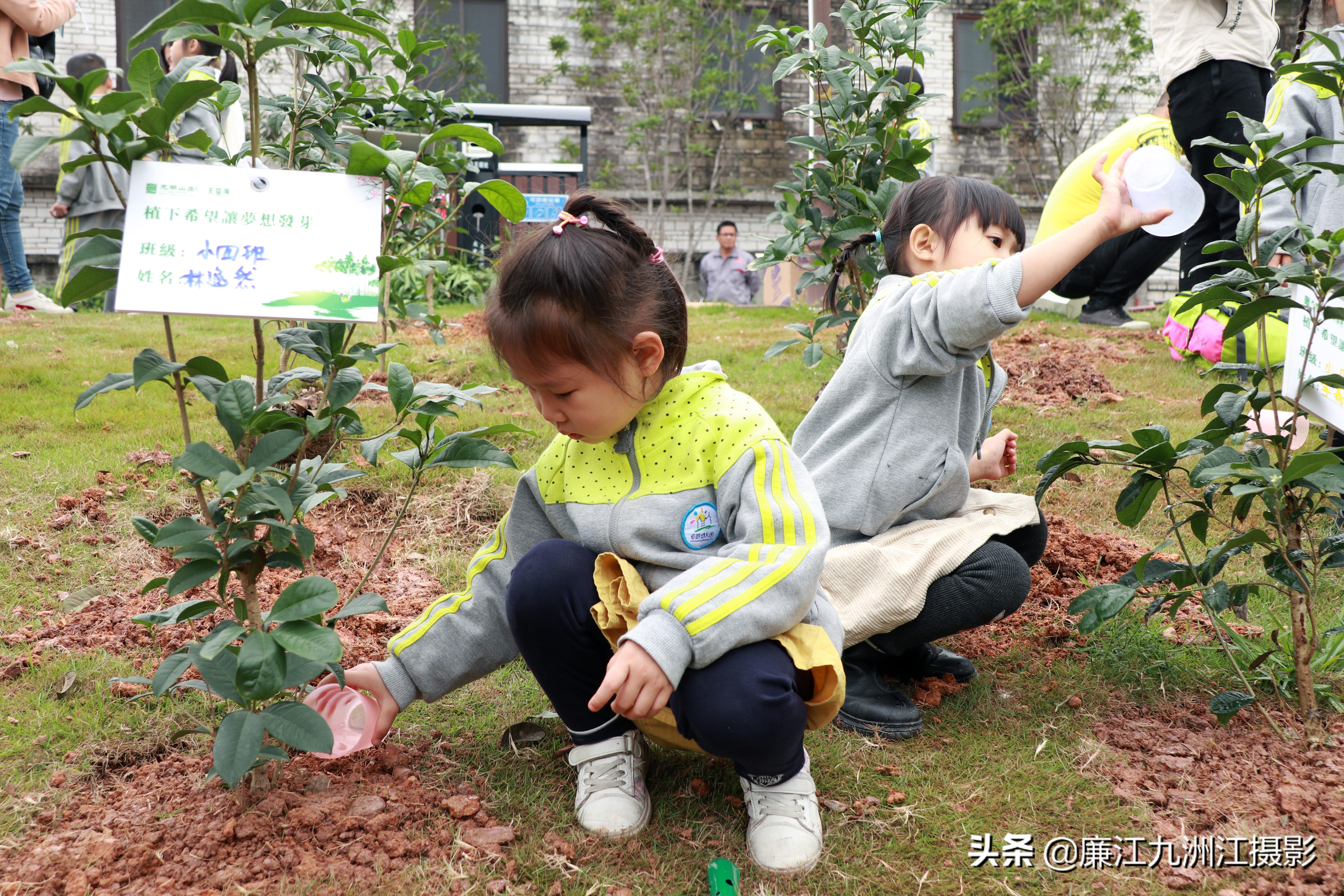种下希望让梦想发芽舞蹈,种下希望让梦想发芽