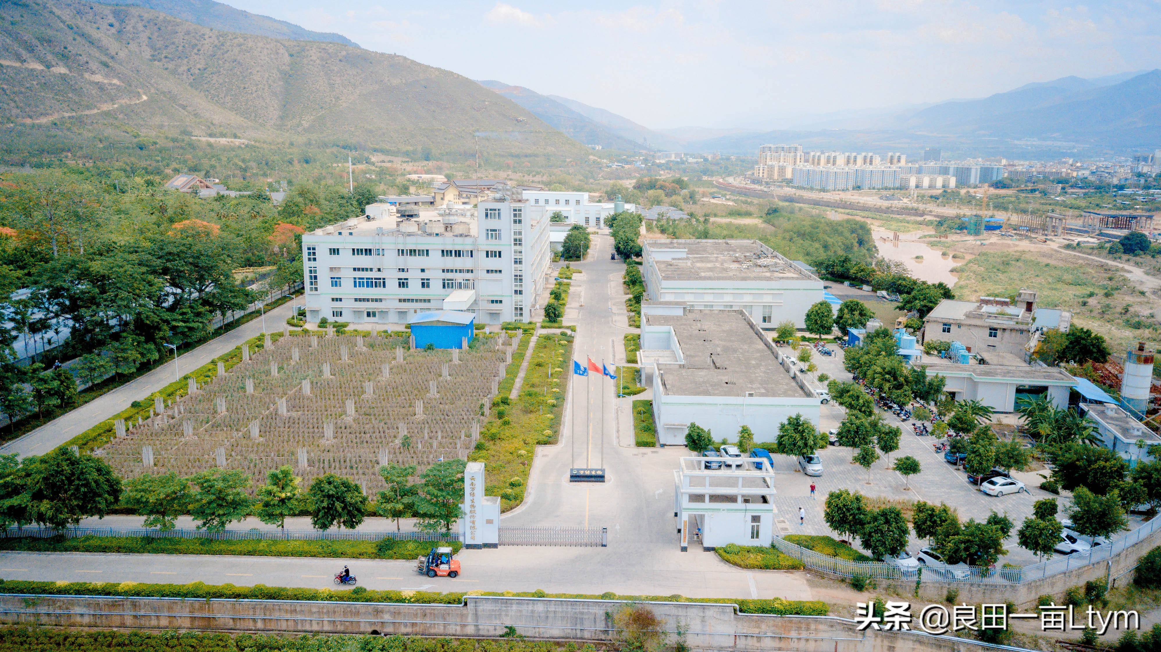 “活着的芦荟护肤品”，你来云南元江看一次芦荟海就够了