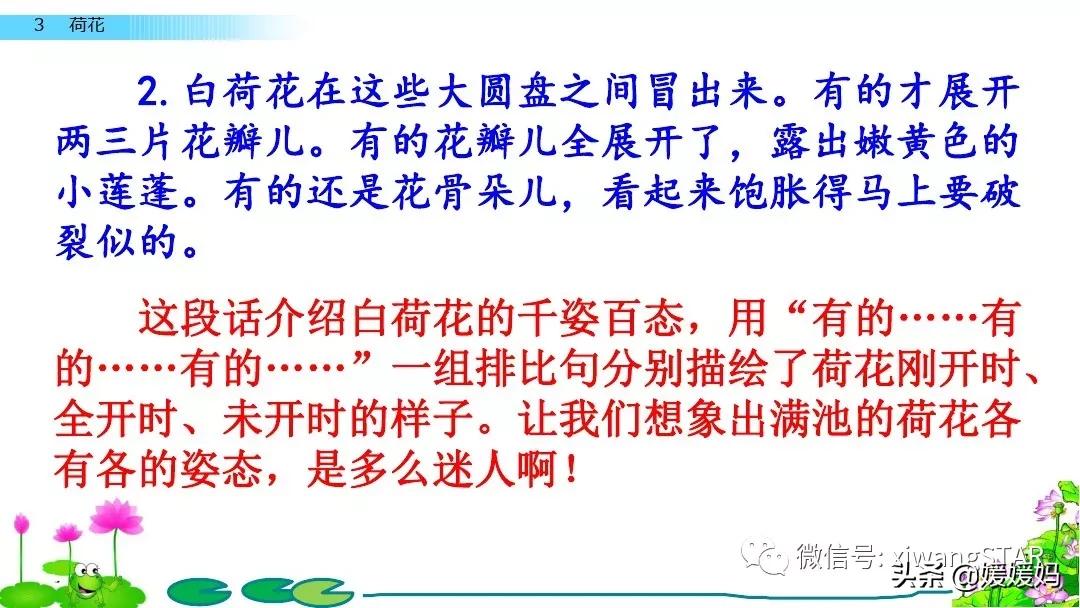 三年级下册荷花ppt课件部编版,三年级下册语文第三课荷花小练笔