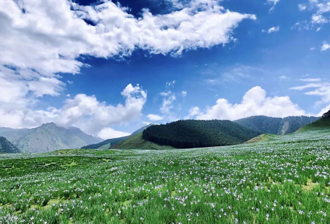 西北望射天狼深度解析,西北望射天狼霸气吗