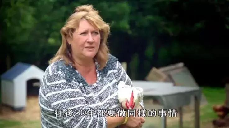 隐居深山30年以种地为生,隐居深山生活养动物