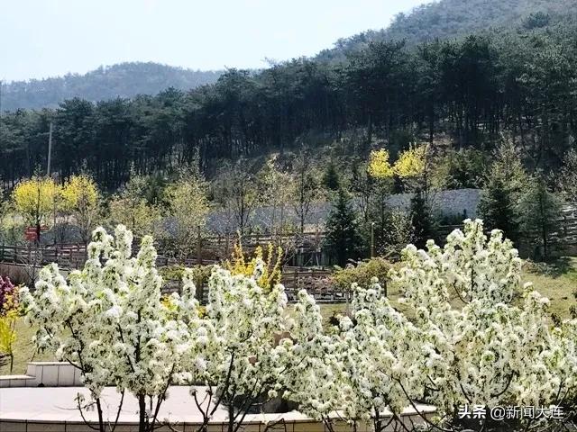 大连野餐必备,大连野餐推荐地点