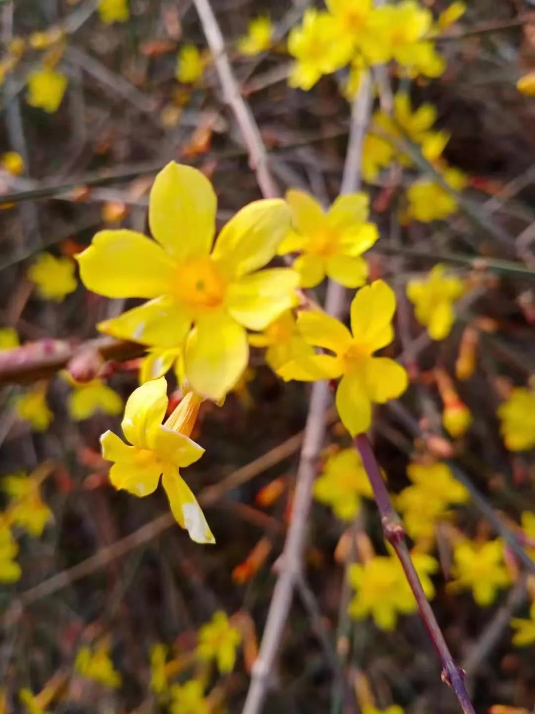 女性心理问题的解决方法,女性朋友心情很压抑怎么开导