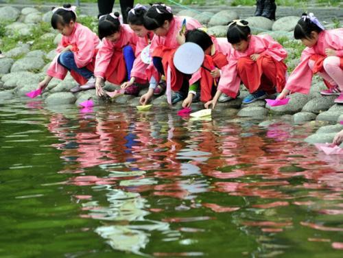 金湖水漾年华风景区,金湖水漾年华里面有什么植物