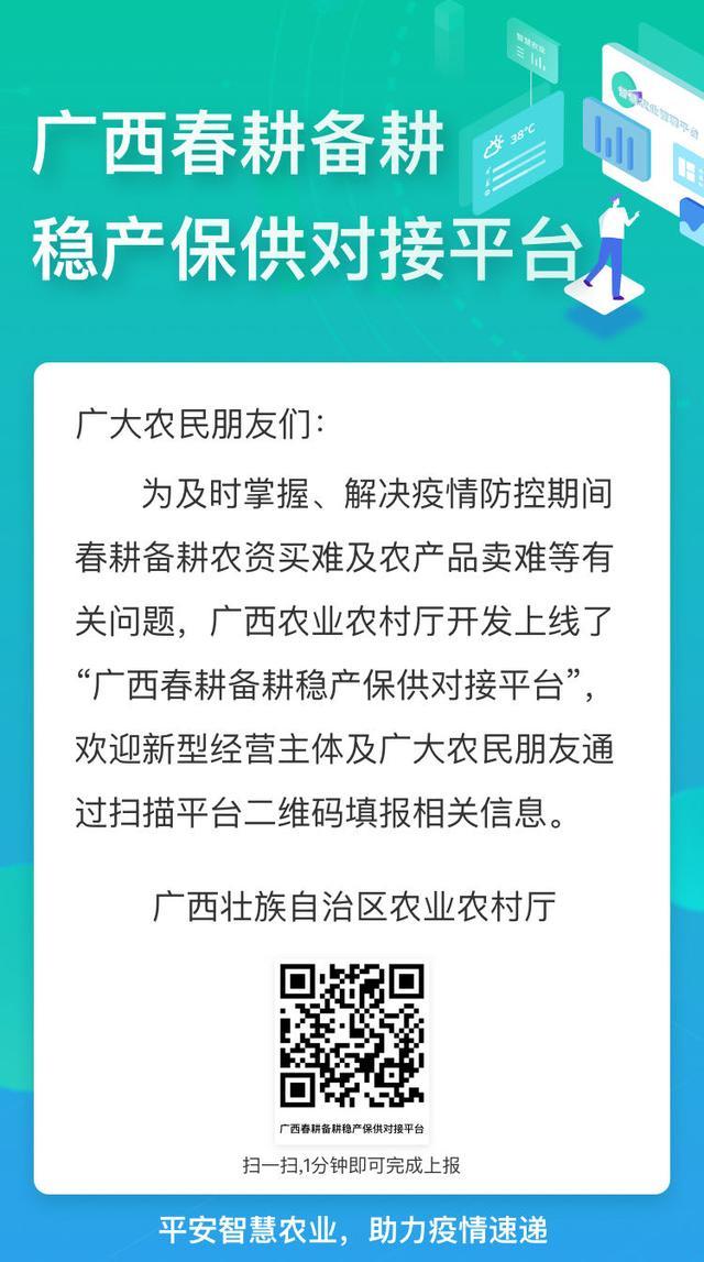 五指毛桃产业钦州,钦州灵山五指毛桃收购
