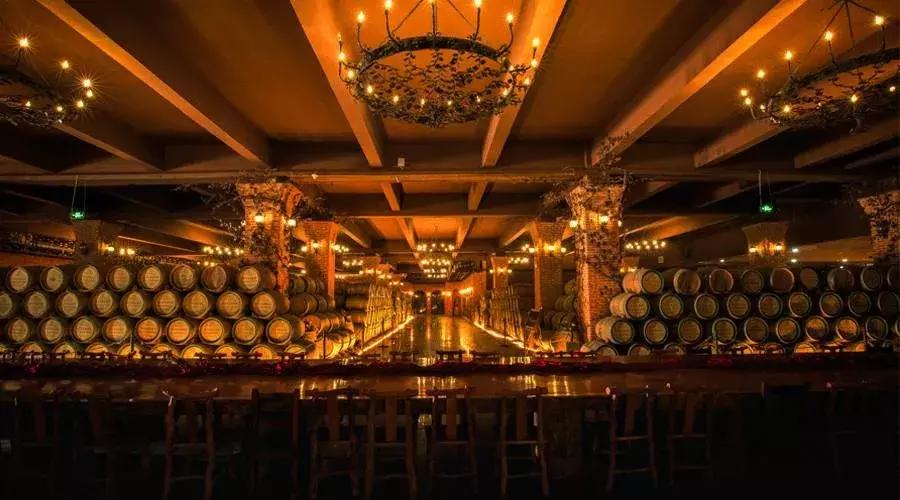 葡萄酒涩度图解,葡萄酒为什么涩