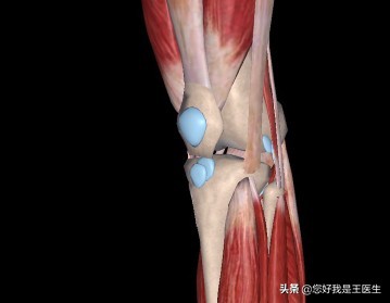 膝关节炎中频电疗法,膝关节中频脉冲电治疗有副作用吗