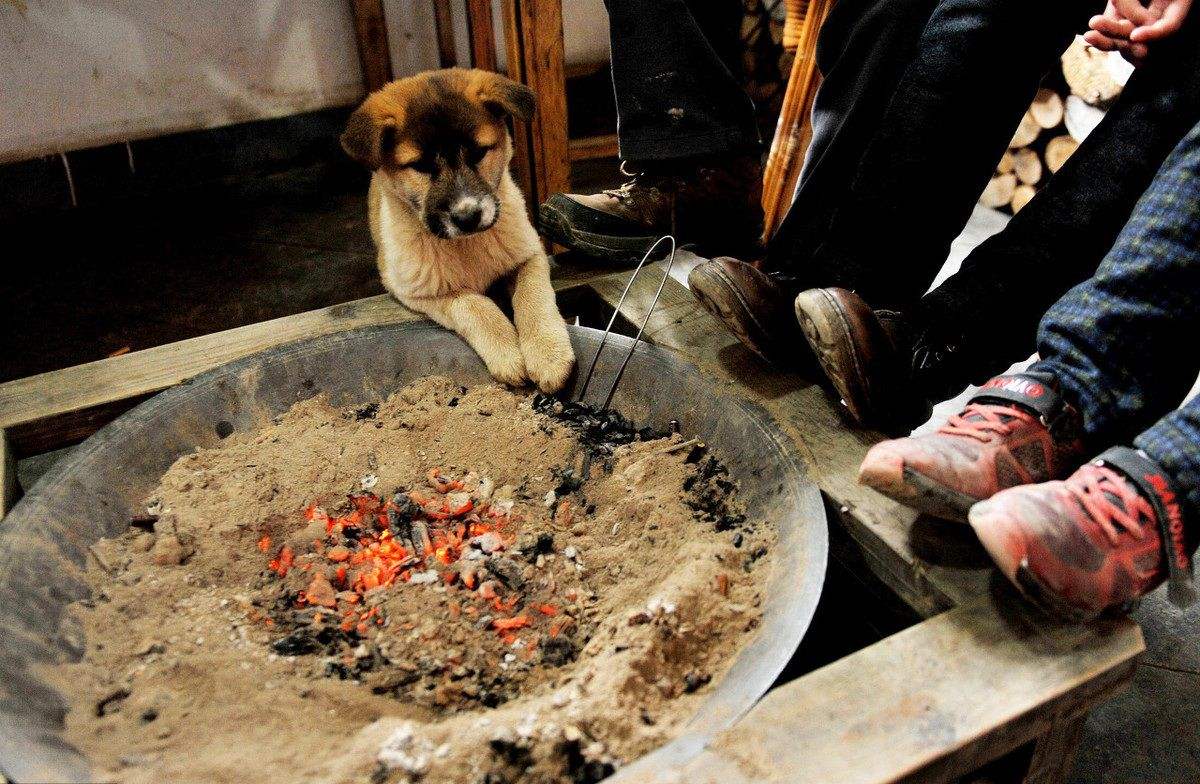 不用暖气不用空调的房子好吗,建造不用供暖的房子