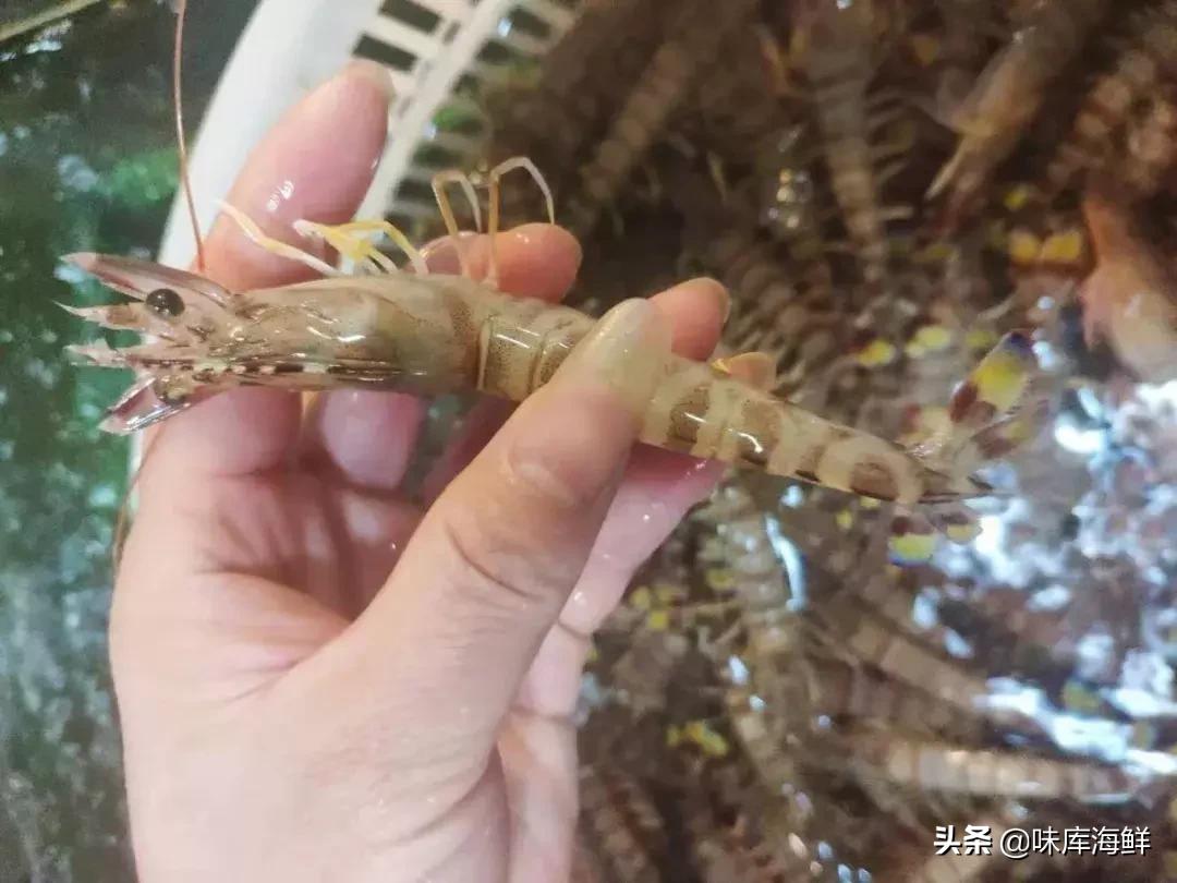 海鲜市场的猫腻怎么处理,青岛海鲜市场的猫腻