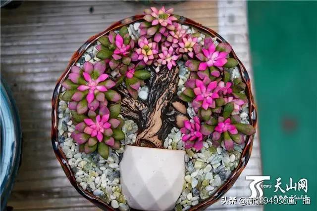 乌市各大商场,乌鲁木齐市购物商场逛街攻略