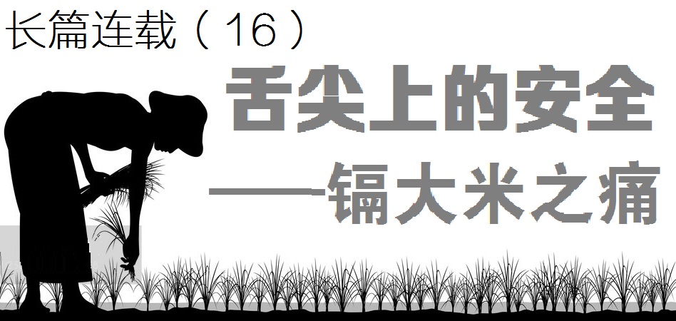 舌尖上的安全感悟,舌尖上的安全全册