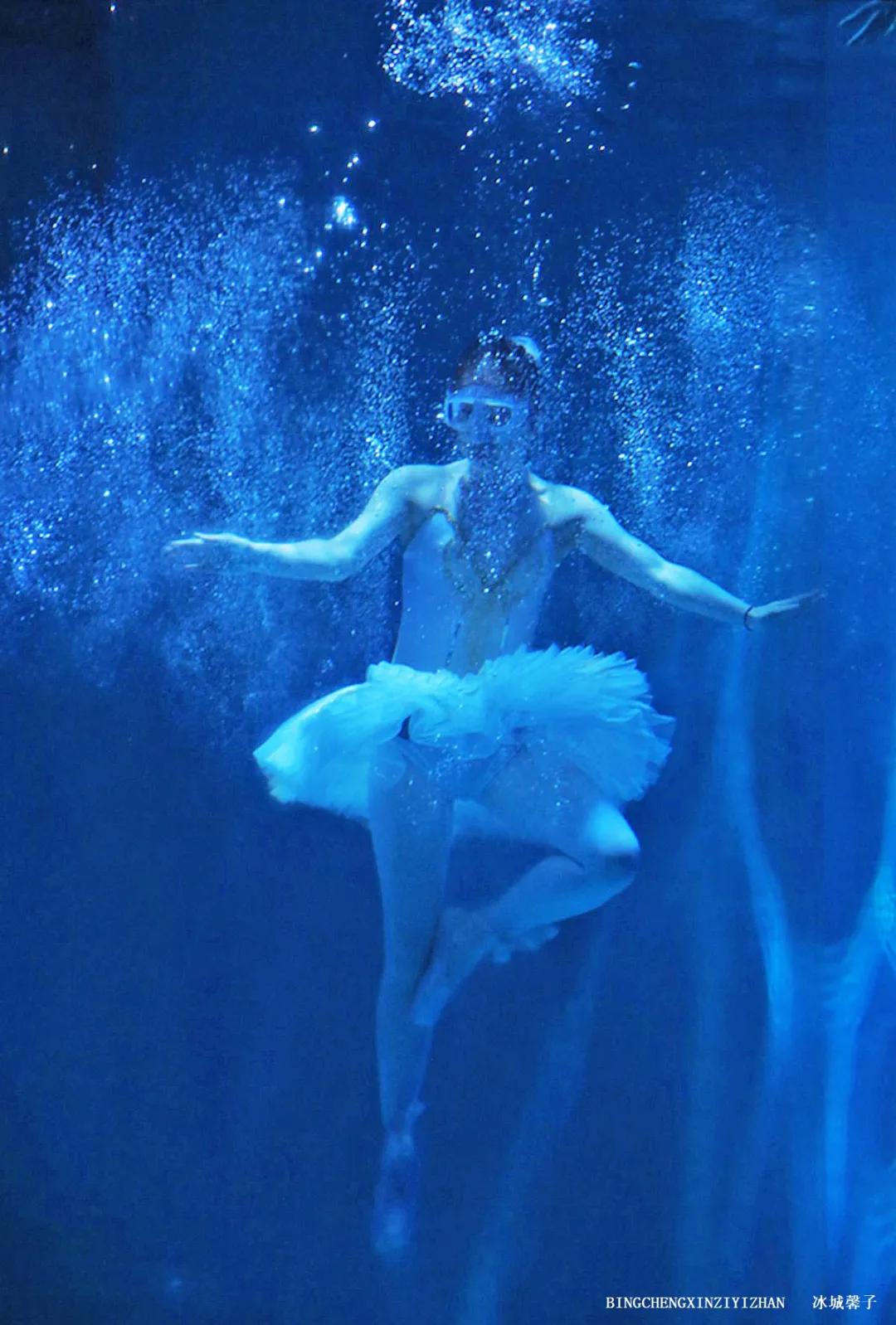 走进哈尔滨完整视频,走进哈尔滨海洋馆