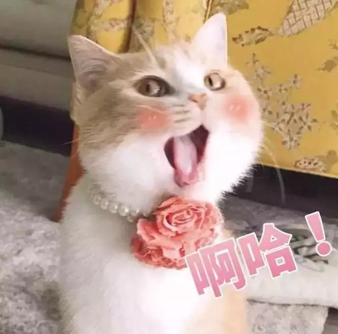 四字id高质量情侣id,超有诗意的情侣id