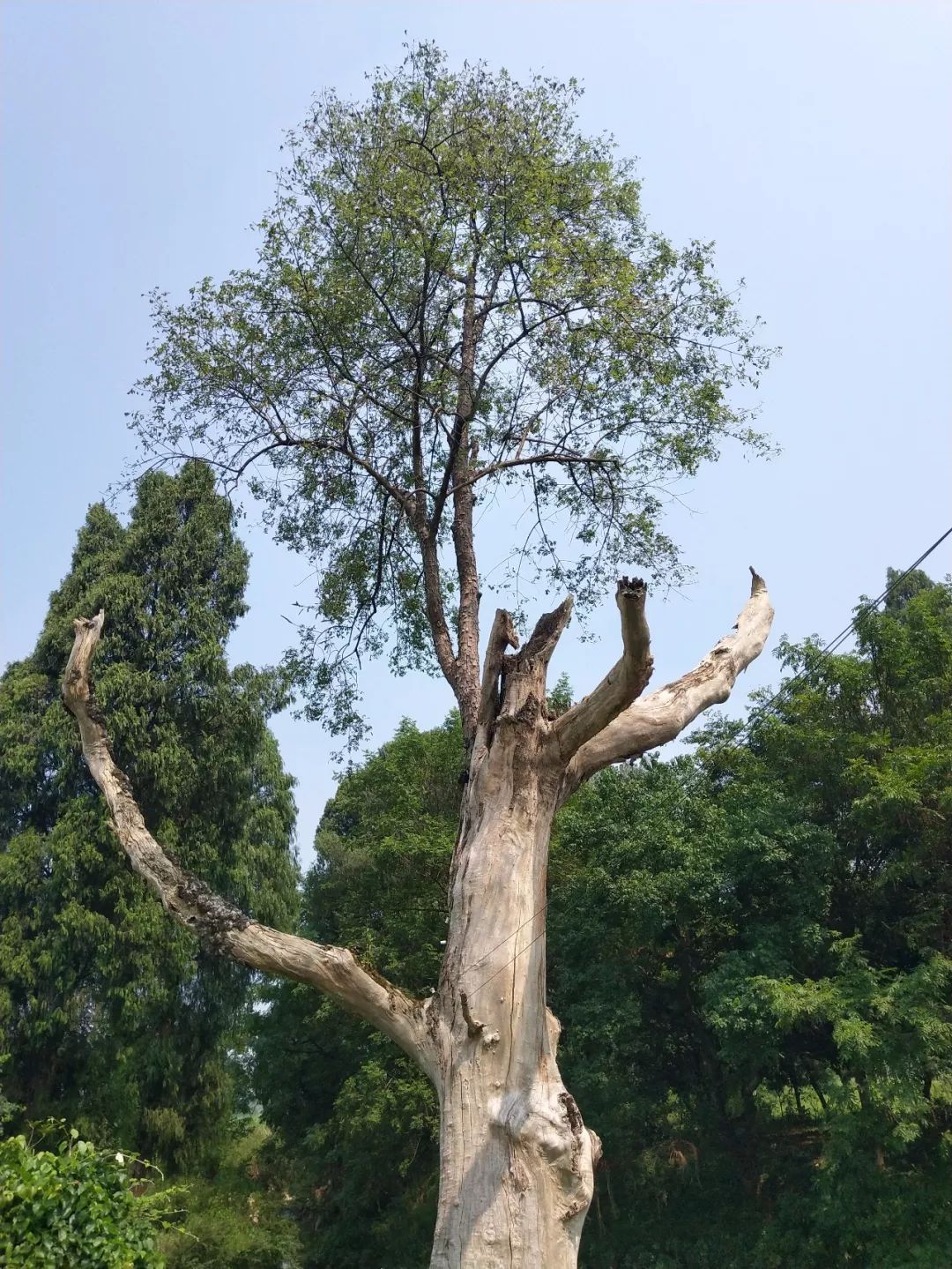 走遍广西所有乡镇,走遍广西100个县兴安县