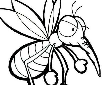 杀虫灭蚊除跳蚤,杀虫灭鼠除白蚁