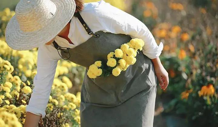 美到犯规！这个500亩的有机庄园，成三产融合教科书