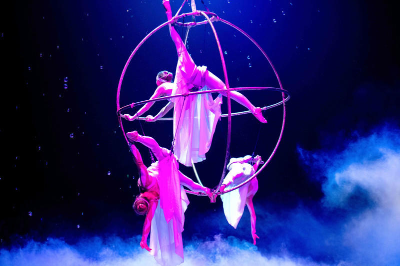 玩转广州长隆野生动物世界之行,广州长隆动物世界游玩攻略图