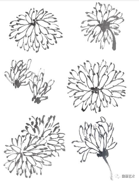 国画写意菊花龙爪菊,写意菊花画法教程简单