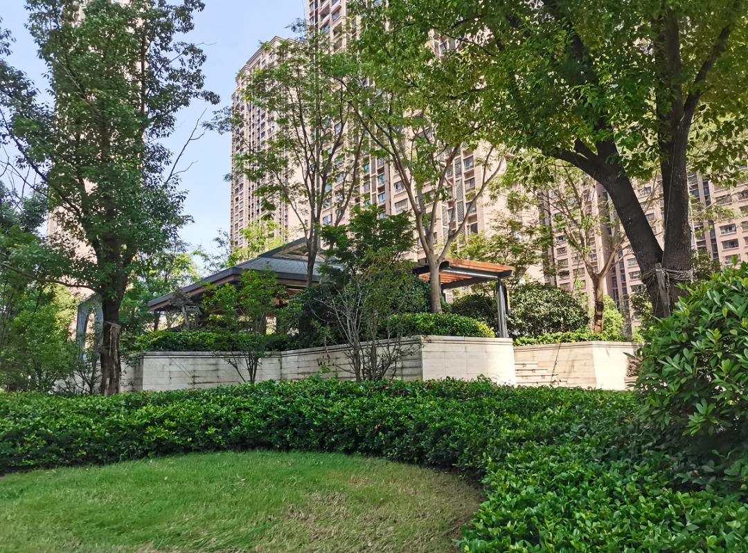 中国十大物业品牌排名,十大最强物业排名