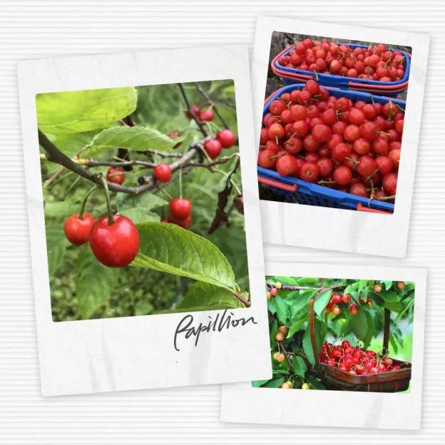 最淳朴的农家乐,必去的乡村味道农家乐