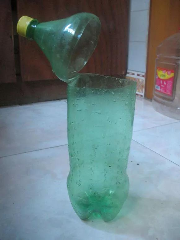 塑料瓶绑在月季上能生根吗视频,水扦插适应哪些花卉