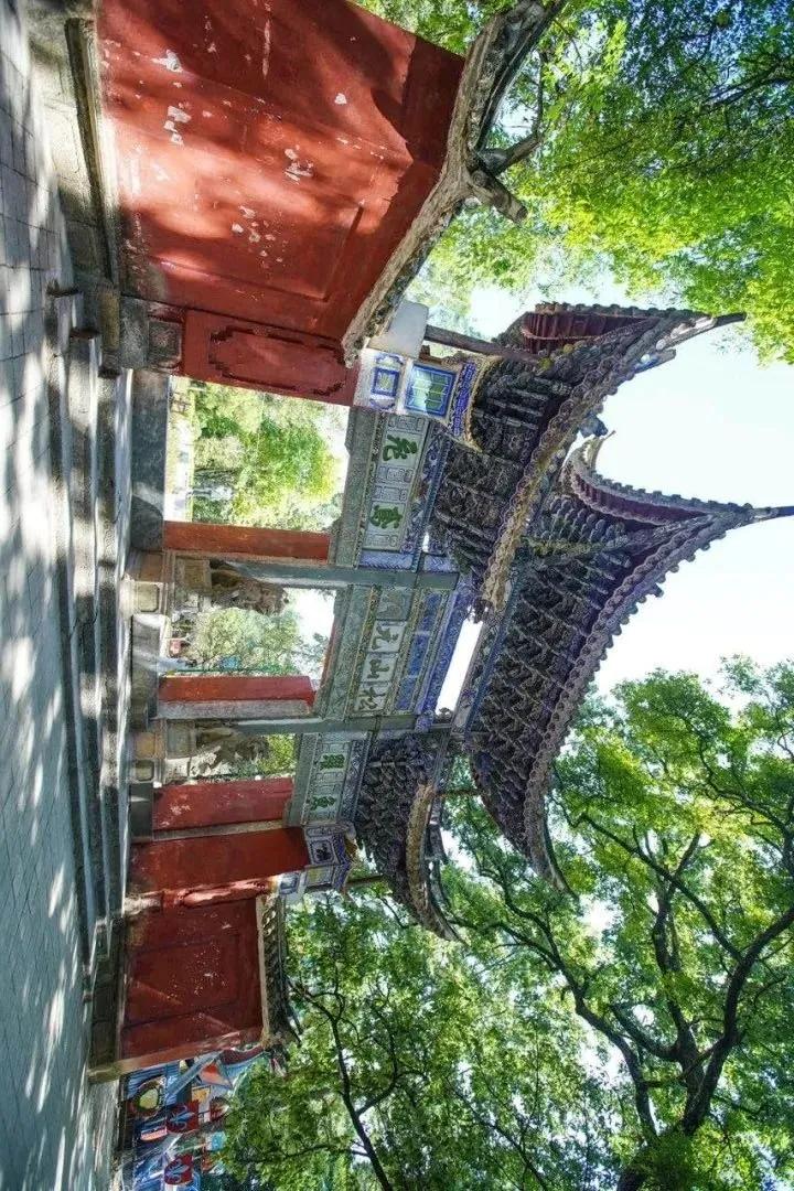 这是一个生机勃勃的地方关于它的故事才刚刚开始