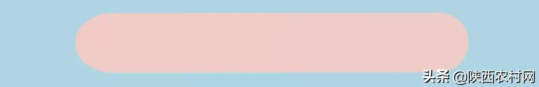 大豆蚜虫用吡虫啉防治行吗,大豆茎叶有蚜虫怎样治疗