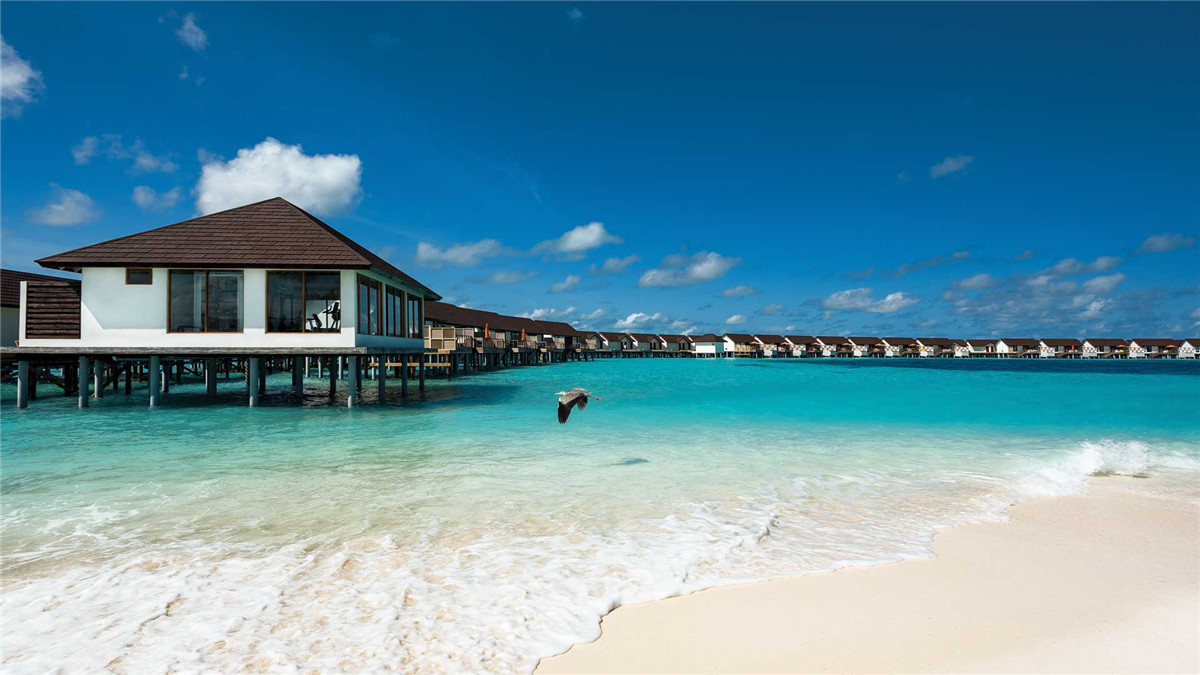 马尔代夫八大亲子岛屿,马尔代夫亲子岛大四季