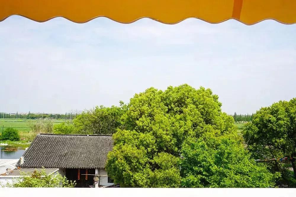 去上海必去的民宿,上海树林民宿推荐