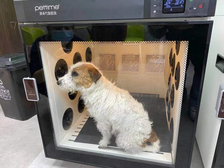 上海自助洗宠,上海宠物自助洗宠