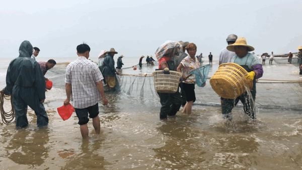 吴阳海鲜直播,吴阳金海岸出海直播