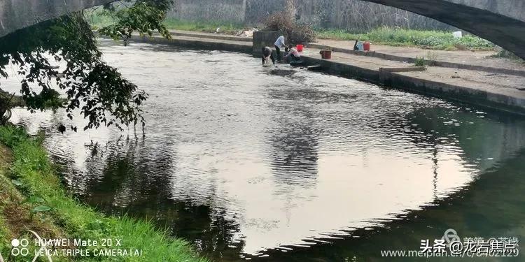 长汀一日游的视频,长汀自驾游攻略一日游