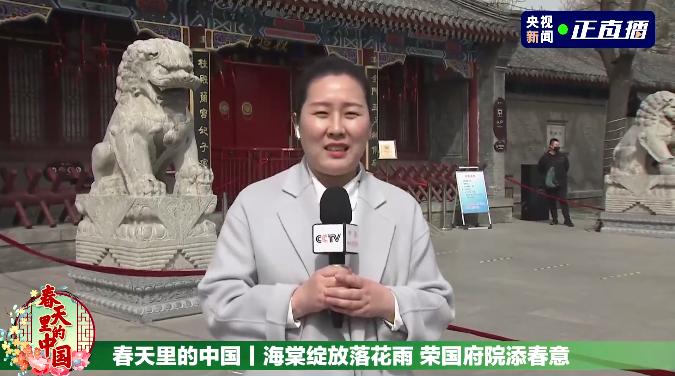 石家庄新规划大项目,石家庄中心城区最新项目