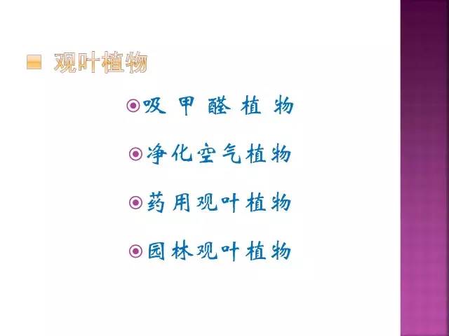 花卉大全500种观叶植物名称,1332种常见花卉植物图谱