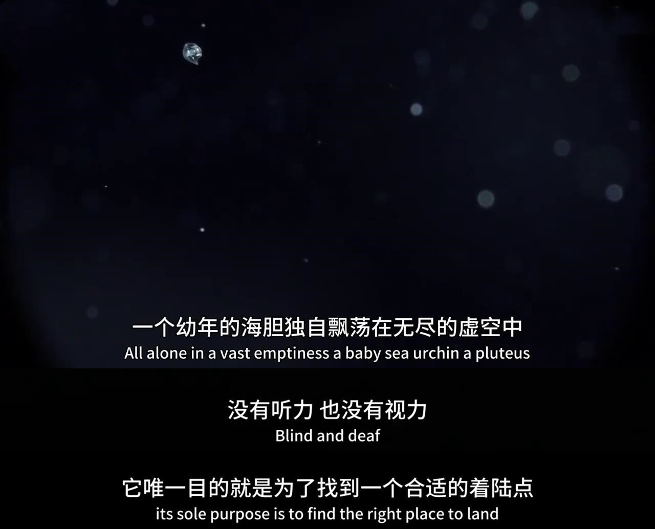 显微镜下的海洋生物,显微镜下的海洋