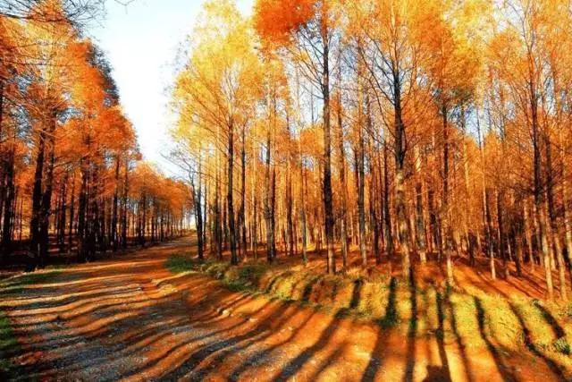 九月遇见最美的风景,金秋九月遇见更好的自己