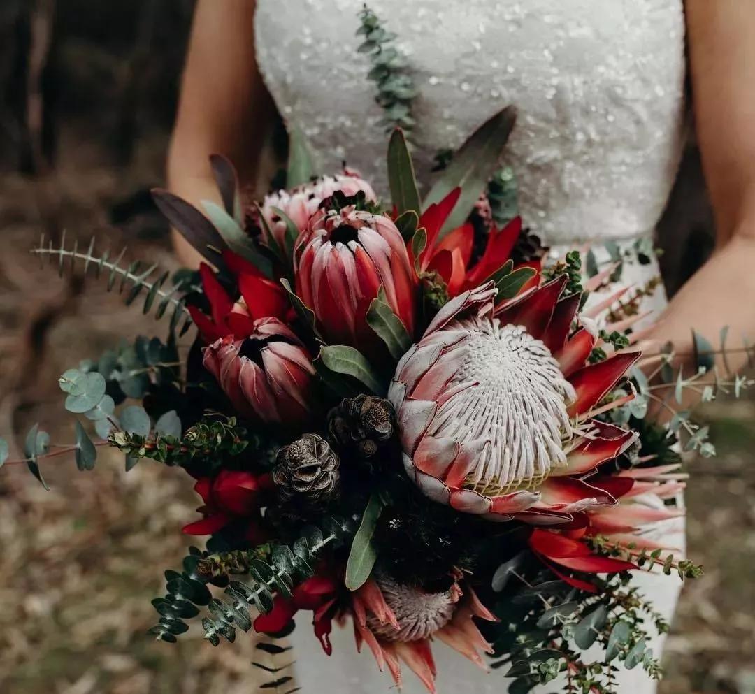 花材不剪枝如何养护,花材不用换水养护方法大全