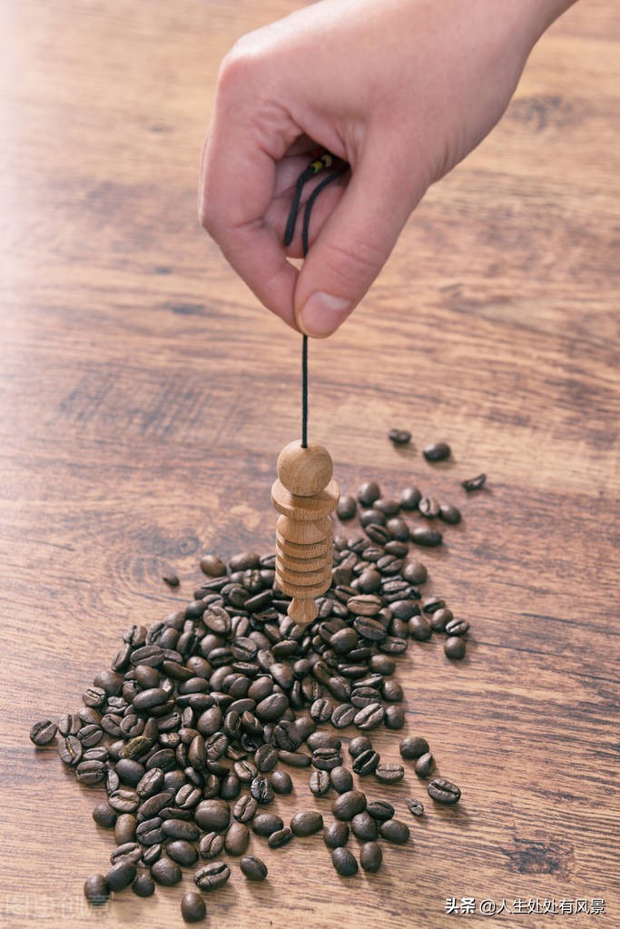 写作|种子的旅行|杨柳风习作点评