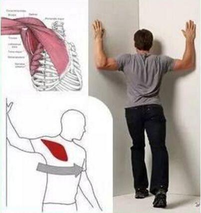 后背疼练习什么瑜伽体式,治疗后背疼痛的瑜伽动作