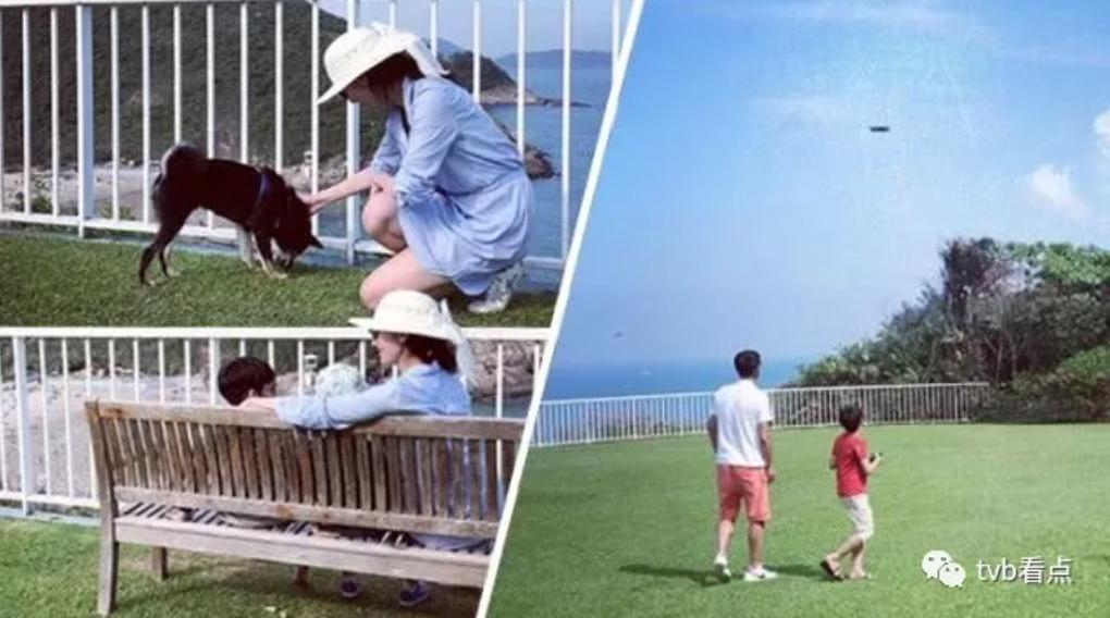 喜宝被老头打后续,喜宝喜欢石澳岛吗