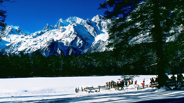 玉龙雪山最详细的游玩避坑攻略,玉龙雪山游玩攻略如何避坑