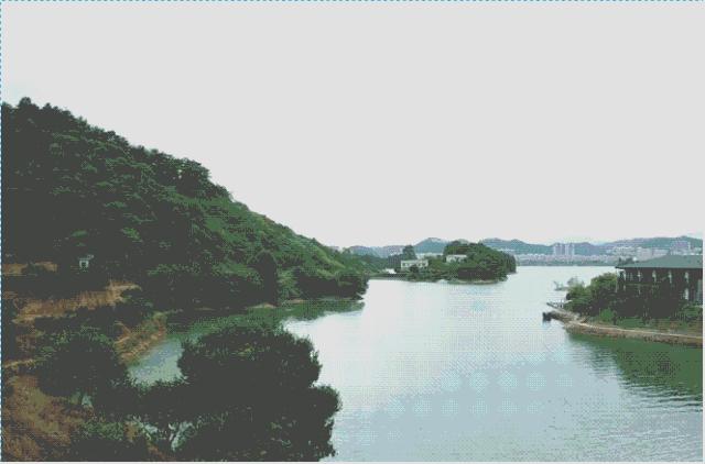 这个40岁大叔为钓鱼租下一座岛,改造破屋成海景房!