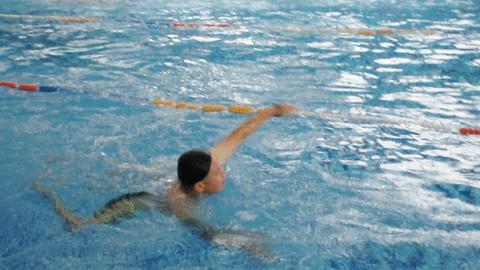 张家界万福温泉,张家界万福水世界